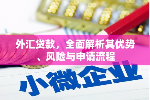 河北外汇贷款，全面解析其优势、风险与申请流程