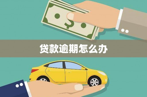河北贷款逾期怎么办