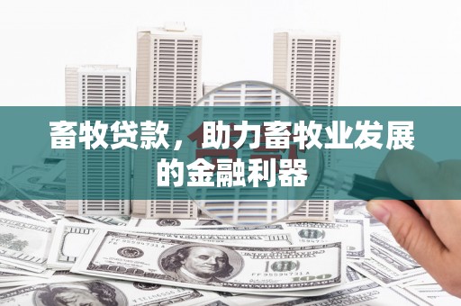 河北畜牧贷款，助力畜牧业发展的金融利器