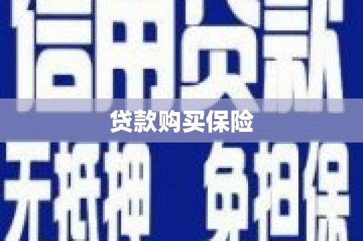 河北贷款购买保险
