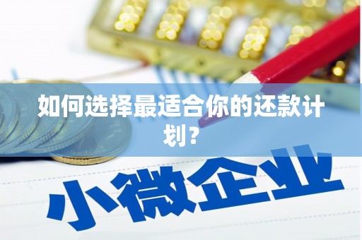 河北如何选择最适合你的还款计划？
