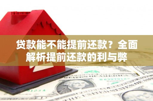 河北贷款能不能提前还款？全面解析提前还款的利与弊