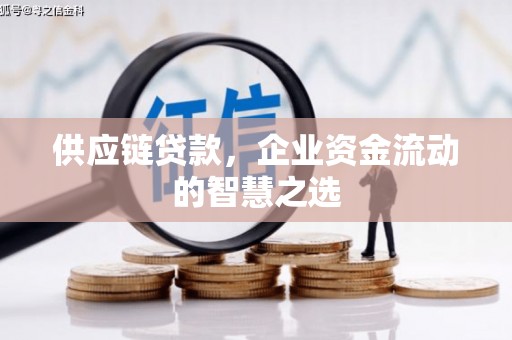 河北供应链贷款，企业资金流动的智慧之选