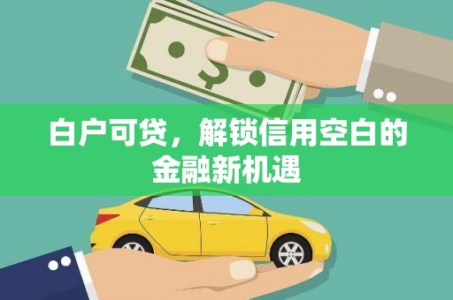 河北白户可贷，解锁信用空白的金融新机遇