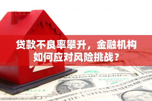河北贷款不良率攀升，金融机构如何应对风险挑战？