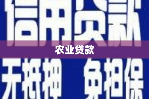 河北农业贷款