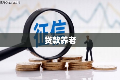 河北贷款养老