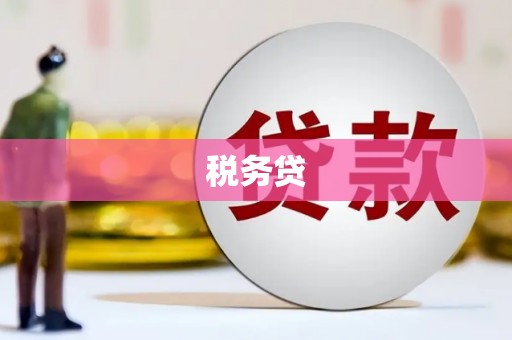 河北税务贷