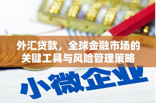 河北外汇贷款，全球金融市场的关键工具与风险管理策略