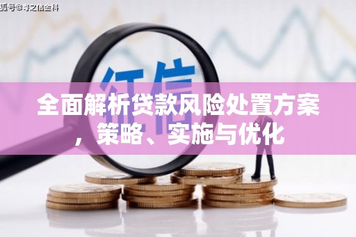 河北全面解析贷款风险处置方案，策略、实施与优化