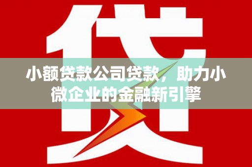 河北小额贷款公司贷款，助力小微企业的金融新引擎