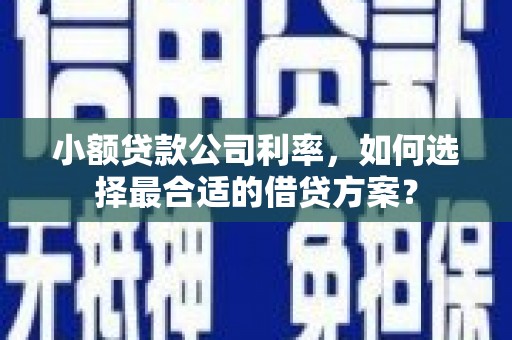 河北小额贷款公司利率，如何选择最合适的借贷方案？