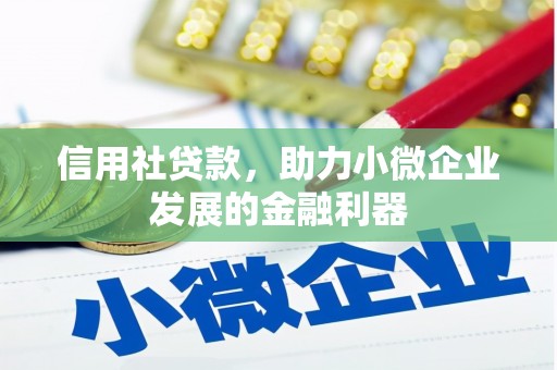 河北信用社贷款，助力小微企业发展的金融利器