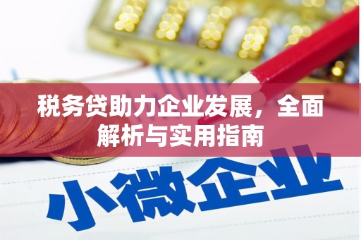 河北税务贷助力企业发展，全面解析与实用指南