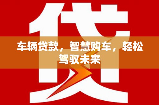 河北车辆贷款，智慧购车，轻松驾驭未来