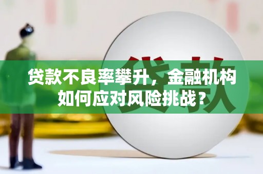 河北贷款不良率攀升，金融机构如何应对风险挑战？