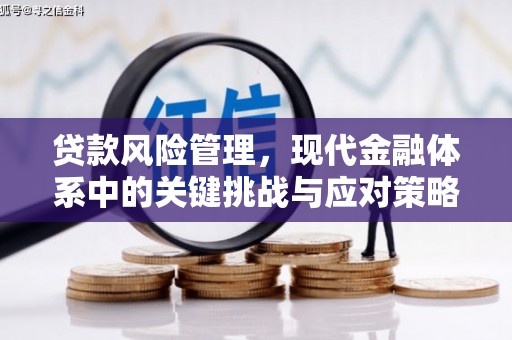 河北贷款风险管理，现代金融体系中的关键挑战与应对策略
