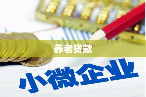 河北养老贷款
